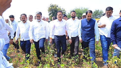 nashik crop damage panchnama directed by guardian minister girish mahajan