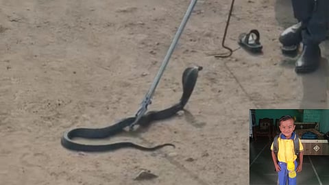 Barwani Cobra Snake Attack
