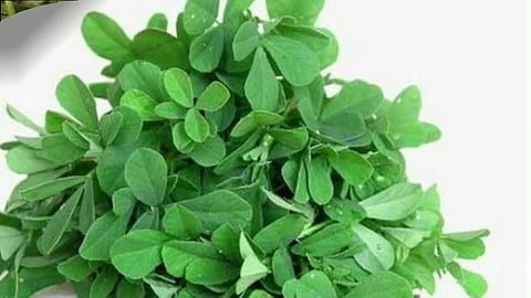  Methi Leaves Health Benefits