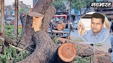 Pune Sustainable Development: A balance between trees and development is essential