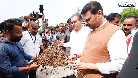 CM Devendra Fadnavis Declared Drought In 265 Talukas of Maharashtra