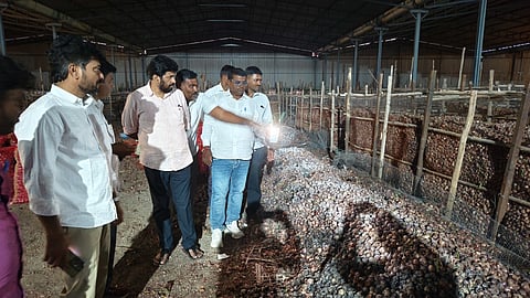 lasalgaon government onion purchase scam allegation bachchu kadu sit probe