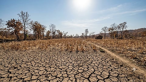 gadchiroli chamorshi drought trigger 1 crop survey