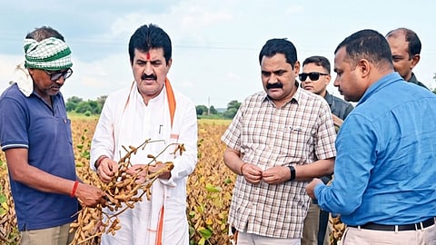 Yavatmal Declared Drought Hit All 16 Tehsils