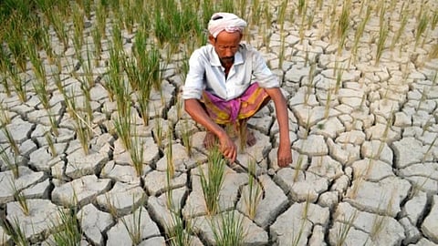 Gondia 7 Tehsils Not Declared Drough Farmers Demand