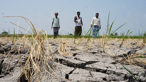 Chandrapur Drought Declaration 2026
