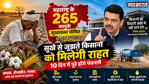 Maharashtra Drought 265 Talukas Farmer Relief Panchnama Diwali