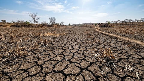 wardha drought trigger 1 seven tehsils kanrja demand