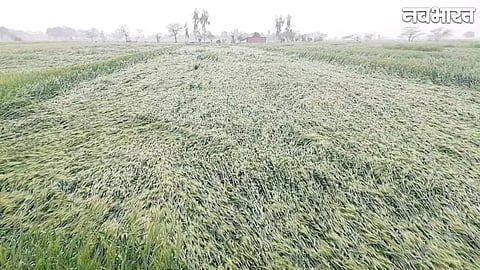 Crop Damage Compensation Scheme Rules
