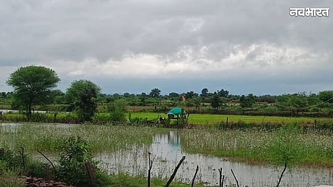 Heavy rain in Panna causes rising water levels in Ken and Midhasan