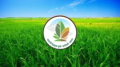 akola pocra krishi sanjivani kendra 149 village grant