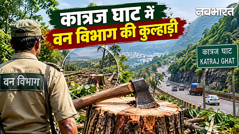 Pune Katraj Ghat Tree Cutting