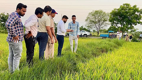 bhandara paddy crop damage collector field inspection