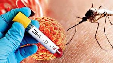 Pune ICMR NIV Zika Mosquito Survey