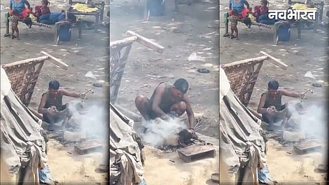 Agra Dog Video 