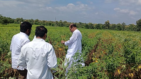 akola east drought randhir savarkar farmers field visit