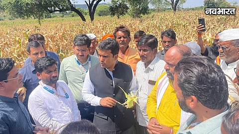 Chhatrapati Sambhajinagar Drought Collector Crop Damage Survey