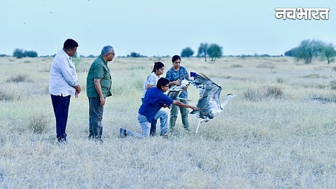 released the Great Indian Bustards into the wild 
