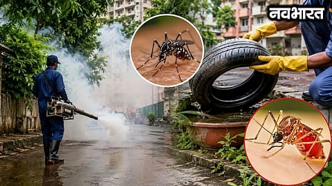 Pune Dengue Cases Pimpri Chinchwad