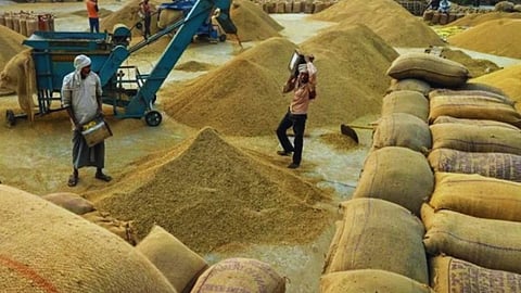 gondia government paddy 11 lakh quintal storage crisis