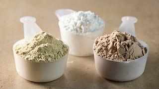 Protein powder whey egg white yeast plant protein muscle gain.