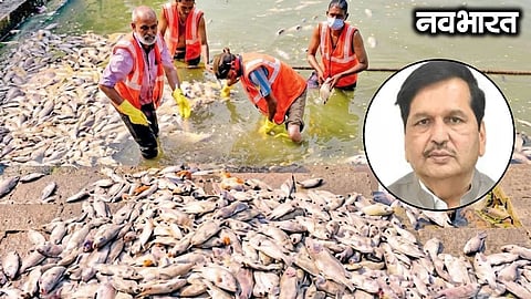Fish found dead in Banganga Pond; 10 artificial ponds to be built to prevent contaminated water inflow