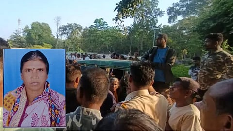 tadoba andhari tiger attack agarzari woman death
