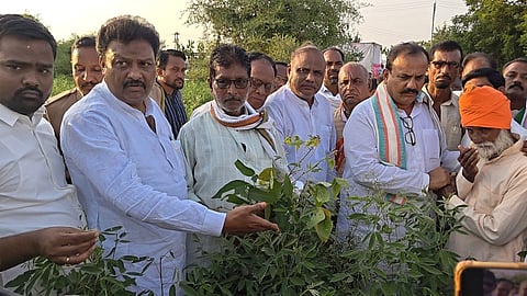 akola drought farmers compensation harshvardhan sapkale
