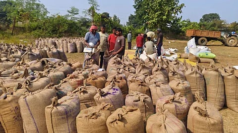 gondia cmr rice quality complaint inquiry committee