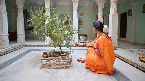 tulsi rules tulsi plant 3 important rules lord vishnu puja.