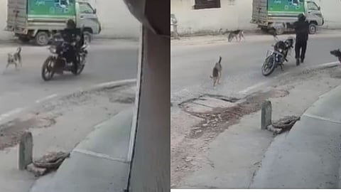 Lucknow Talkatora Police Station Dog Cruelty FIR
