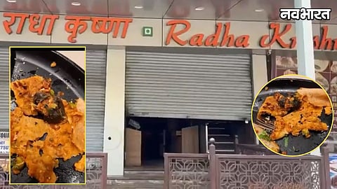 Mumbai Dosa Rat Video Extortion Case