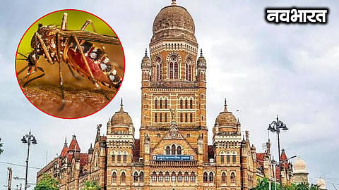 Outbreak of malaria and swine flu in Mumbai