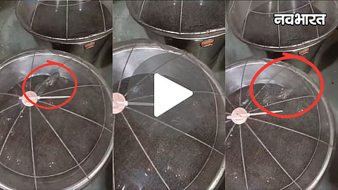 bhiwandi sweet shop rat in gulab jamun viral video fda action