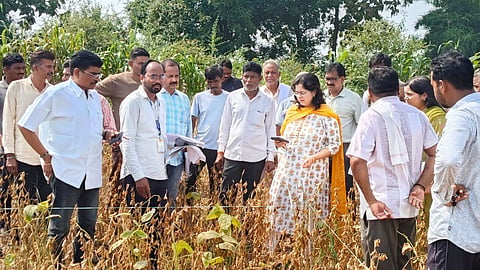 chandrapur drought crop loss assessment bhadravati