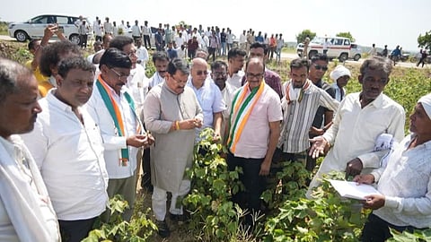 wardha vijay wadettiwar crop damage drought relief demand