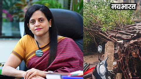 Protection of trees; urban forest policy to be formulated: BMC Commissioner Ashwini Bhide