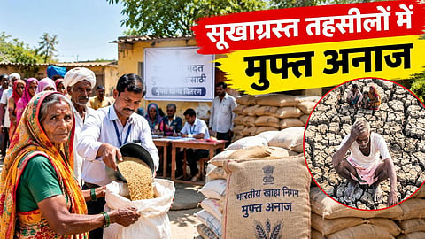 Order for free food grains in 265 drought-hit tehsils of Maharashtra