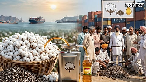 Cottonseed Oil Price Falls New Cotton Arrivals Weak Demand