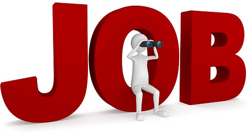 Punjab and Haryana High Court Clerk Vacancy 1270 Posts