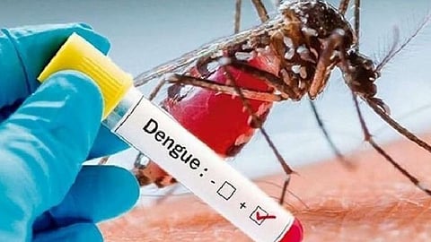 Akola Dengue Chikungunya Rise