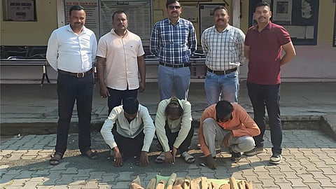 maharashtra washim risod sandalwood theft case three arrested