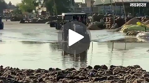 FAZLIKA MARKET