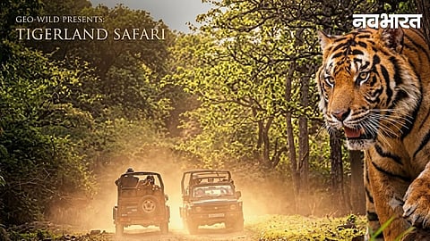 World Bank Maharashtra Project