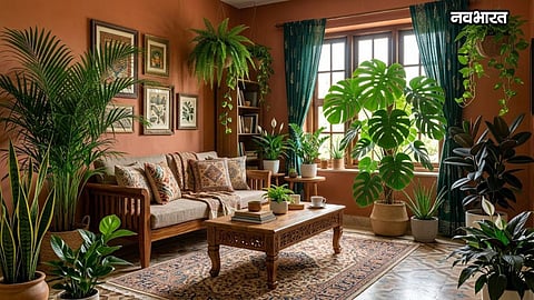 Indoor Plants for Home
