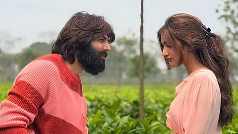 Kartik Aaryan Sreeleela Film