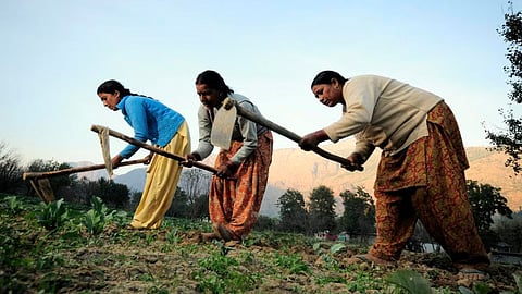 Rashtriya mahila kisan diwas women farmers income tips.