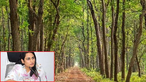 Nashik Manisha Khatri NGT Hearing
