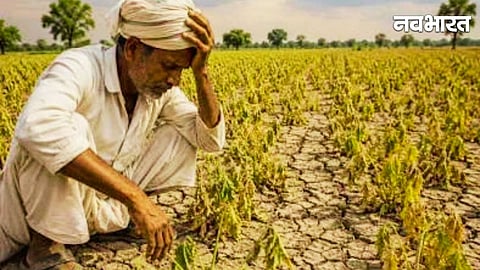  Maharashtra Government Drought Declaration