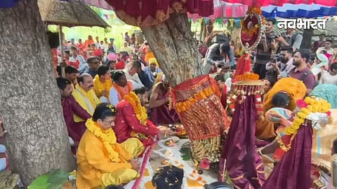 chhattisgarh news, Bastar dussehra,